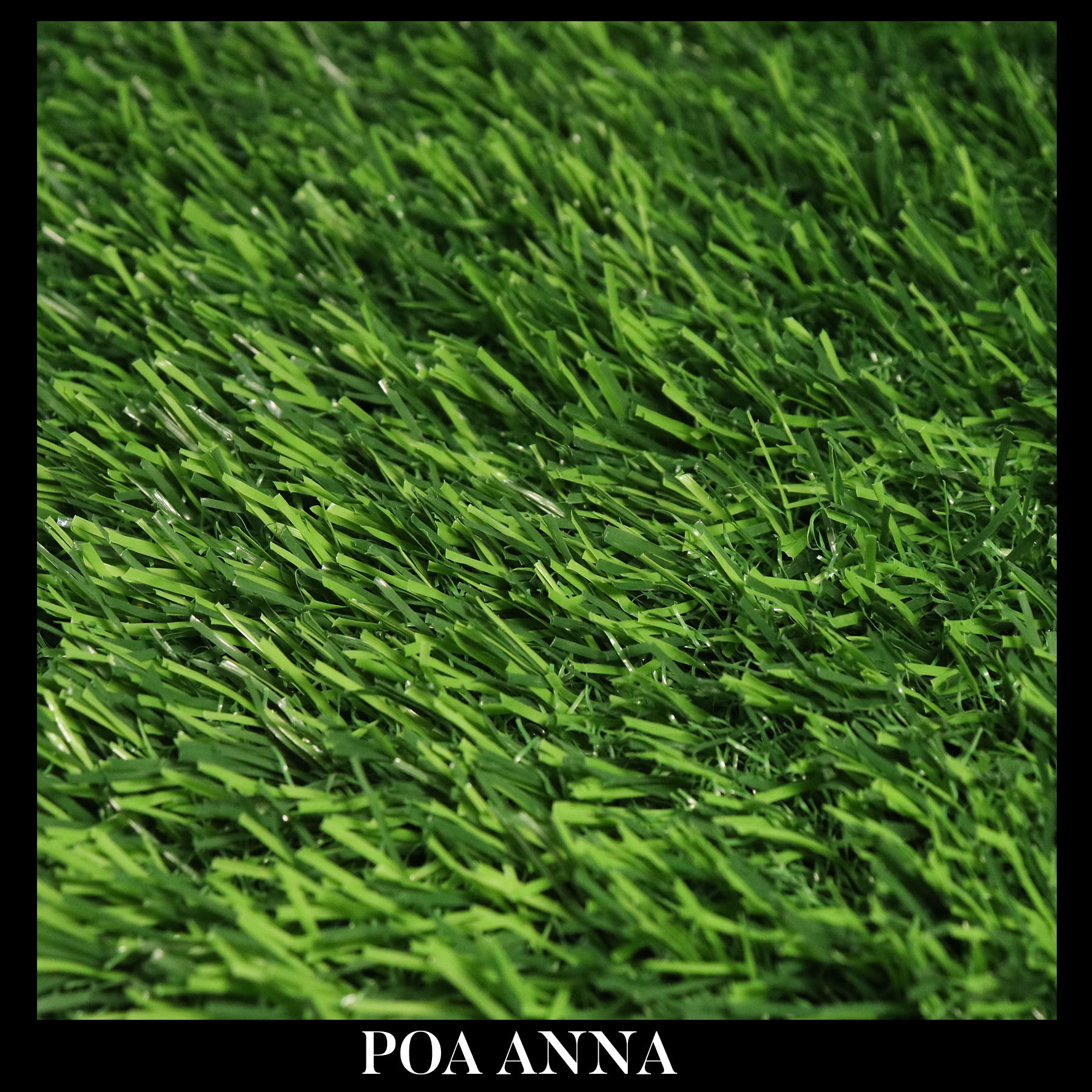 POA ANNA